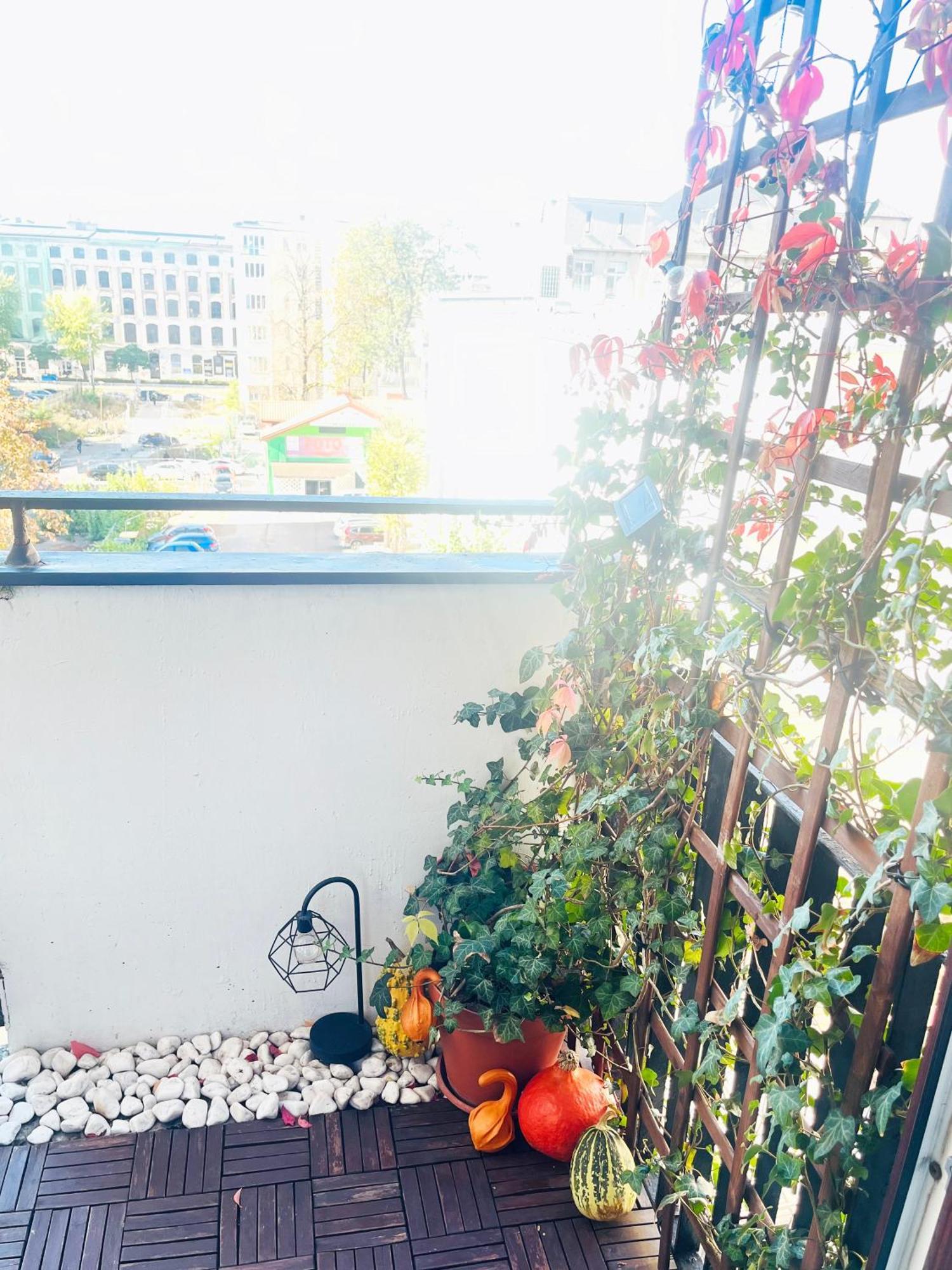 Apartament I Love Piotrkowska Z Wielkim Lustrem, Balkonem I Klimatyzacja Лодз Екстериор снимка